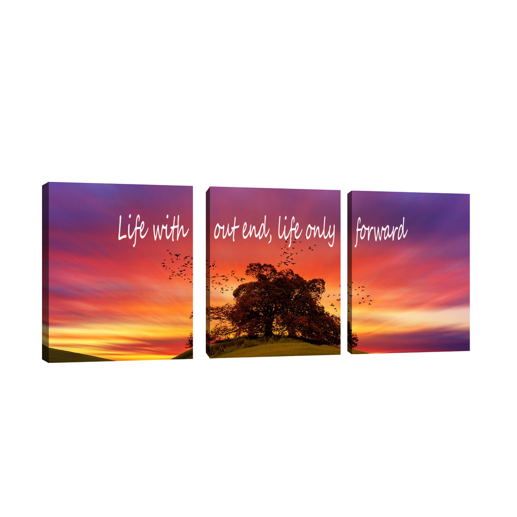 Rovanal Motivational Posters Inspirational Wall Art, Life Without End Life Only Forward, 3 Pieces Motivation Success Entrepreneur Poster Framed Positive Quotes Wall Decor Office Wall Picture Gift for Home Office Workplace